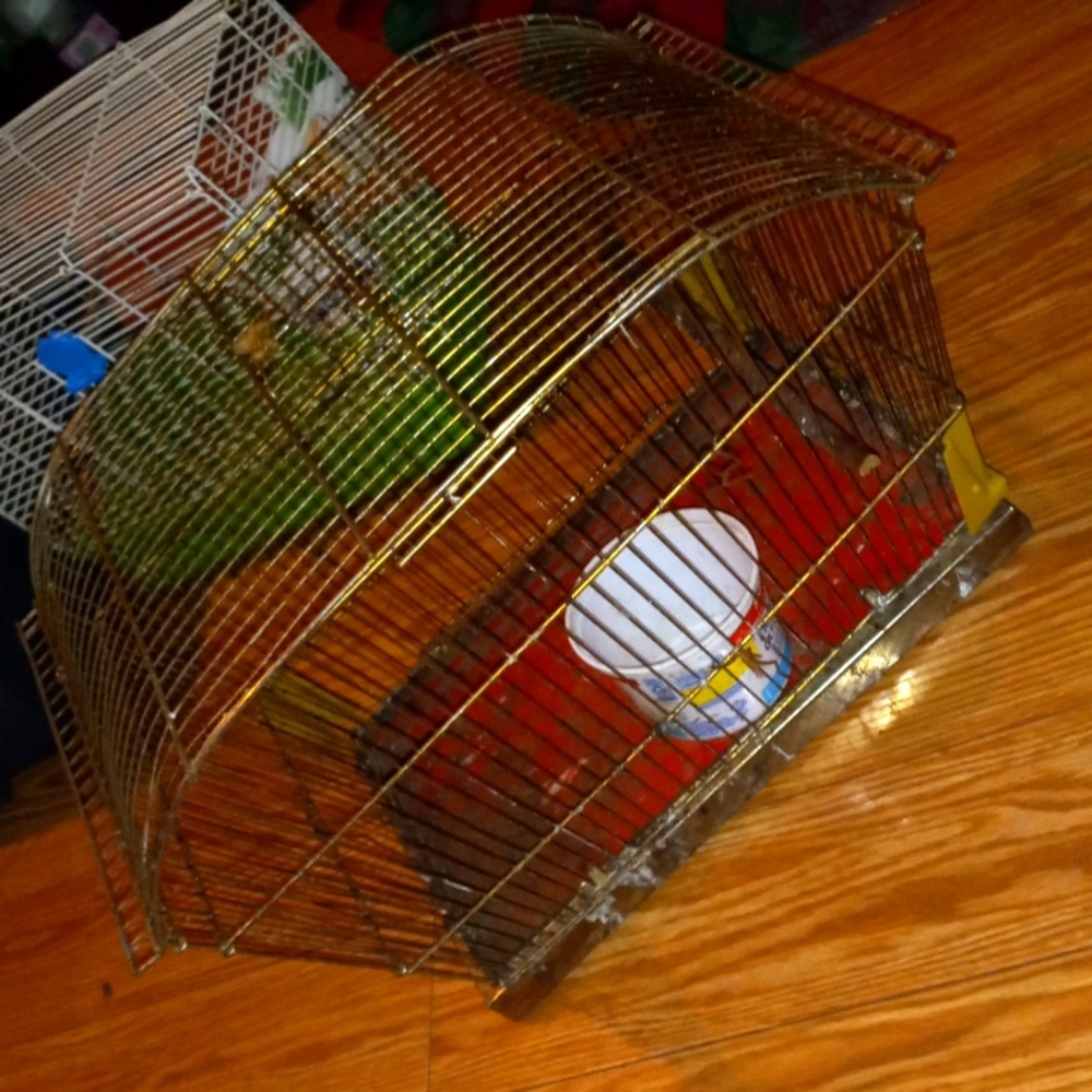 BIRD CAGE METAL WITH SPRING DOOR